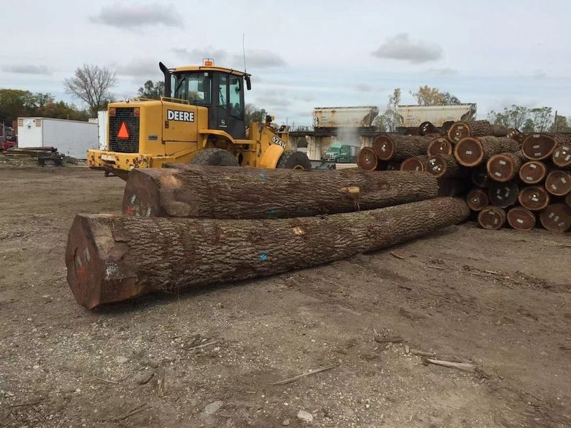 China Dongguan Yinghui Wood Industry Co., Ltd. Unternehmensprofil