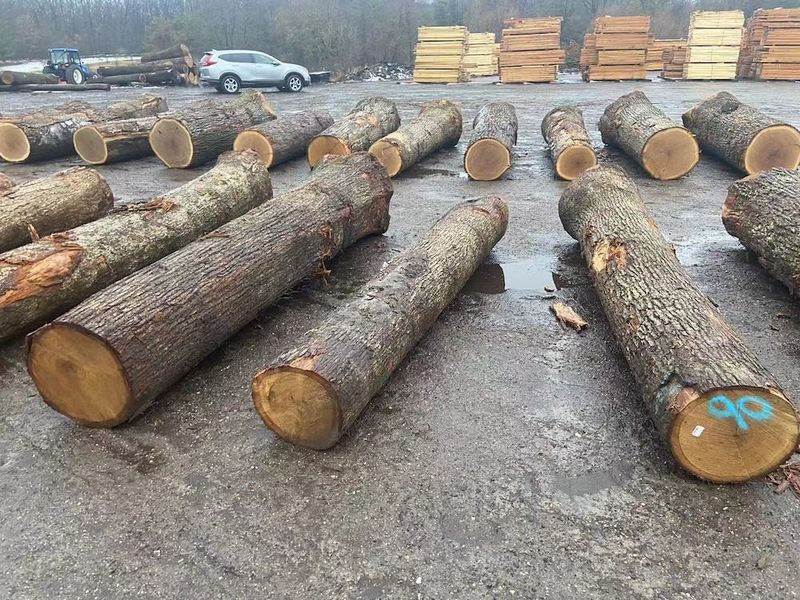 China Dongguan Yinghui Wood Industry Co., Ltd. Unternehmensprofil