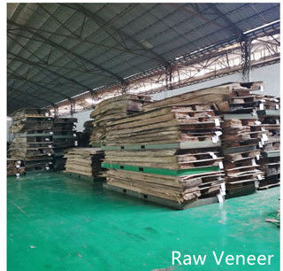 Dongguan Yinghui Wood Industry Co., Ltd. Hersteller Produktionslinie