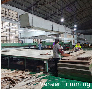 Dongguan Yinghui Wood Industry Co., Ltd. Hersteller Produktionslinie
