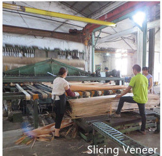 Dongguan Yinghui Wood Industry Co., Ltd. Hersteller Produktionslinie
