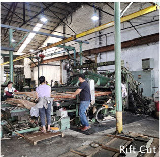 Dongguan Yinghui Wood Industry Co., Ltd. Hersteller Produktionslinie